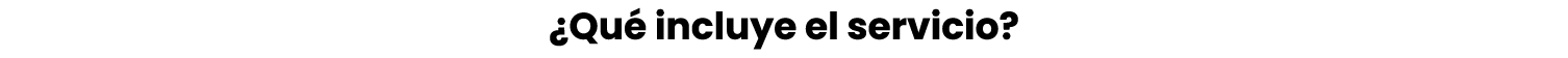 ¿Qu incluye el servicio?
