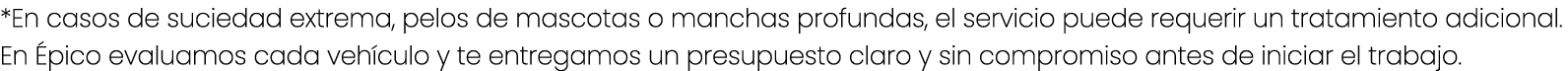 *En casos de suciedad extrema, pelos de mascotas o manchas profundas, el servicio puede requerir un tratamiento adici...