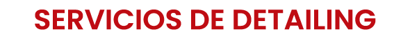 SERVICIOS DE DETAILING
