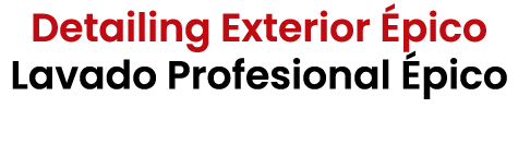 Detailing Exterior pico Lavado Profesional  pico