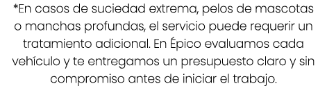 *En casos de suciedad extrema, pelos de mascotas o manchas profundas, el servicio puede requerir un tratamiento adici...