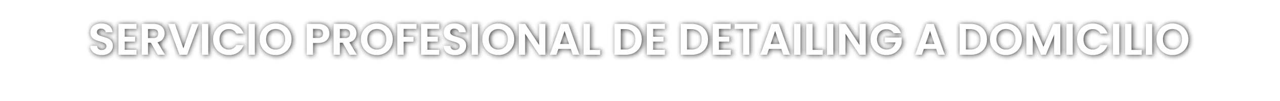 SERVICIO PROFESIONAL DE DETAILING A DOMICILIO